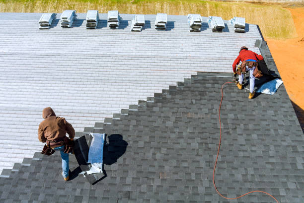 Best Roof Gutter Cleaning  in Freemansburg, PA