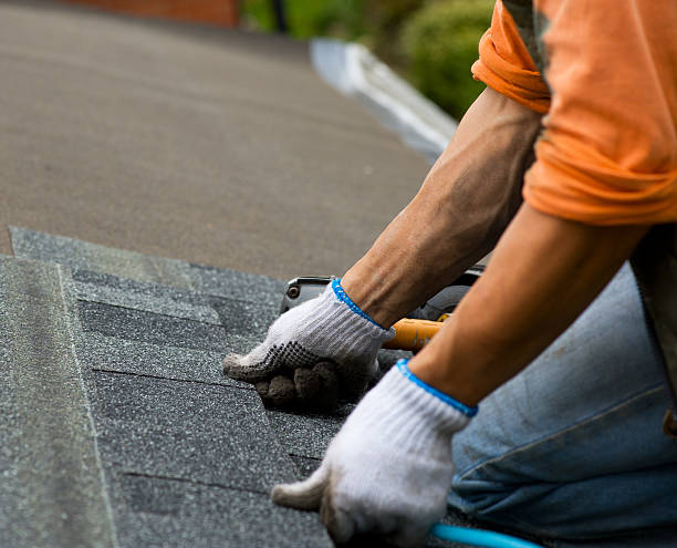 Best Shingle Roofing Installation  in Freemansburg, PA