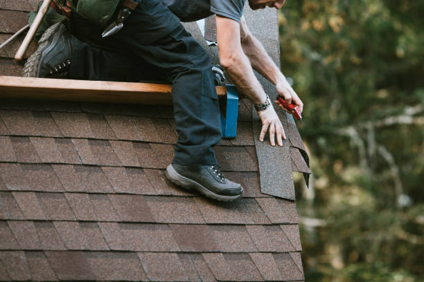Best Commercial Roofing Services  in Freemansburg, PA